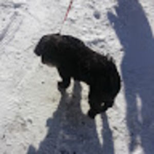 Meet your Posher, Carla